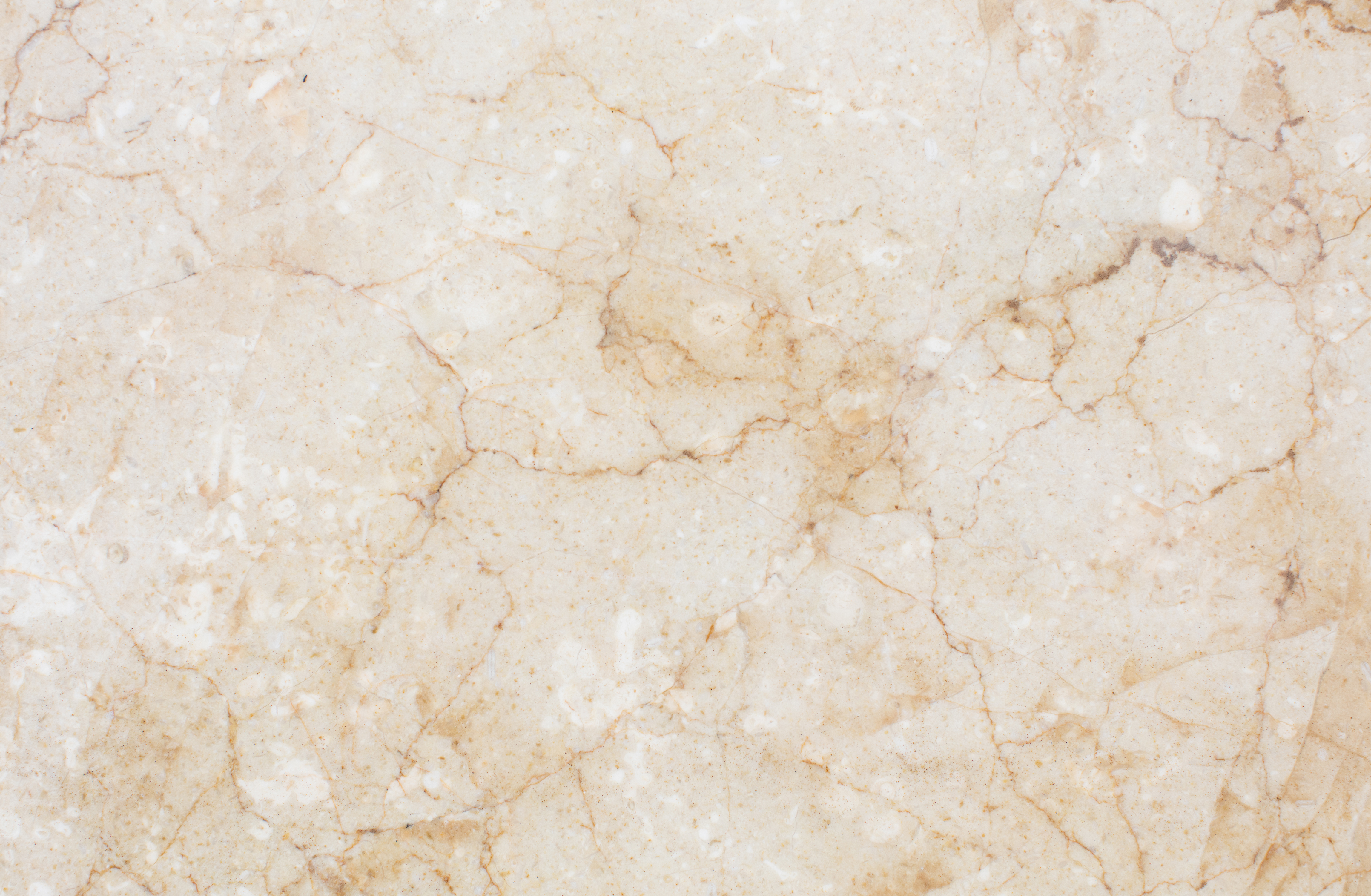 Golden Desert Header